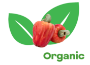 CashewOrganic